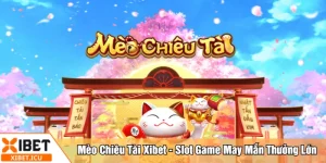 Mèo chiêu tài